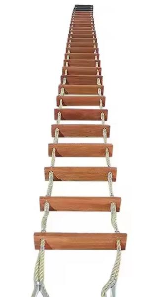 Pilot/Embarkation Ladder