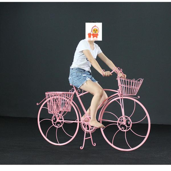 Modern Flower Pot Bike Display Stand for Creative Weeding and Sofa Set Decoration