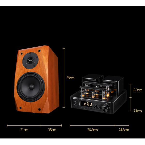 Orador passivo da estante da maneira da cor 2 da madeira para o sistema de áudio da casa