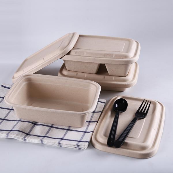 Disposable Party Dinnerware Take Away Salad Box 850ml 1100ml 1300ml Sugarcane Bagasse Pulp Box Packaging