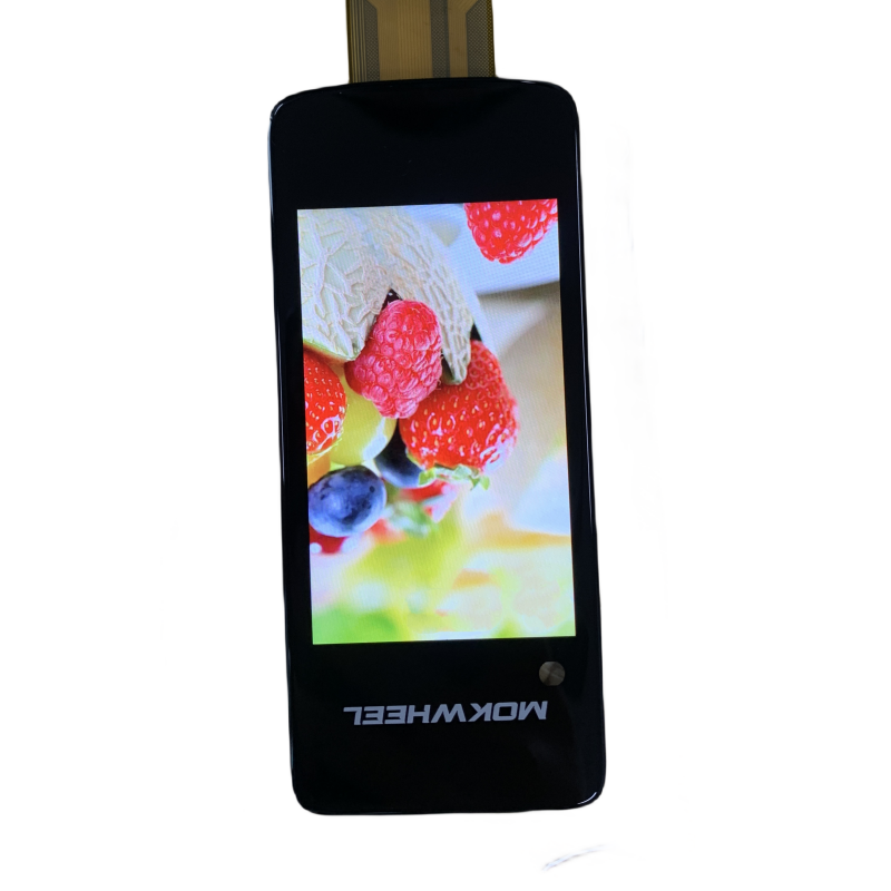 Модуль высокого разрешения 3,1 дюйма 480 * RGB * 800 TFT LCD с стеклом BOE