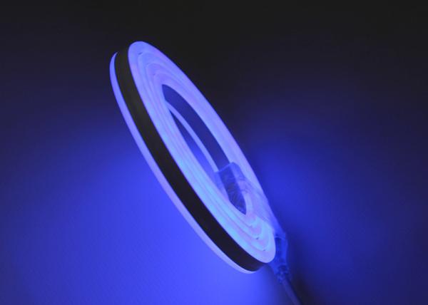 AC 220V Blue Double Sided Neon Flex 120 LEDs / M PVC Jacket Material