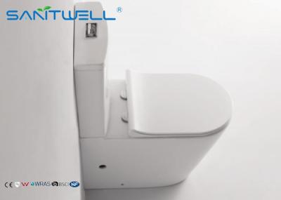 O fim do Washdown acoplou a combinação ereta do assoalho do toalete com o nivelamento dobro