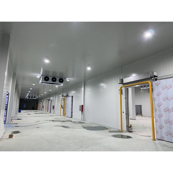 Almacén Almacén frío Sala de trabajo en el enfriador para equipos de refrigeración cámara congeladora