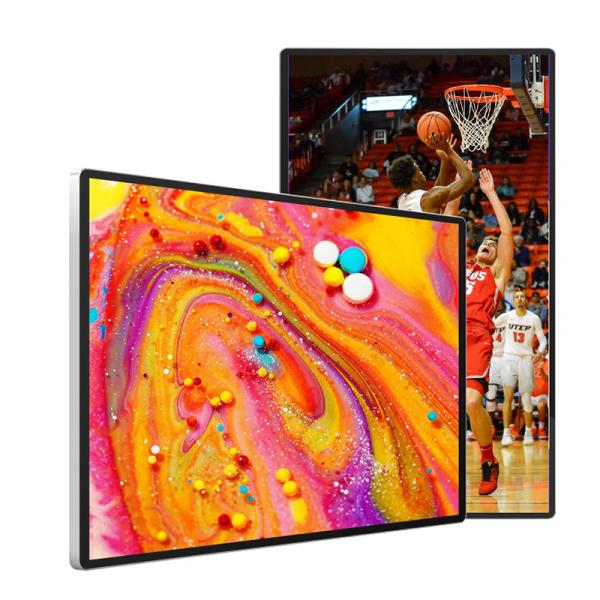 PAL Digital 178 H LCD Advertising Display 1073.78×604mm
