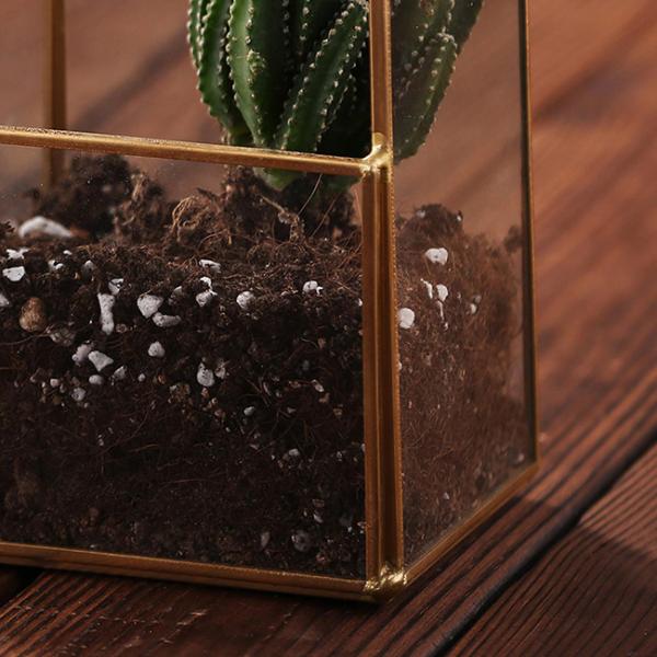 House Shaped Geometric Succulent Terrarium , Jewelry Holder Air Plant Container