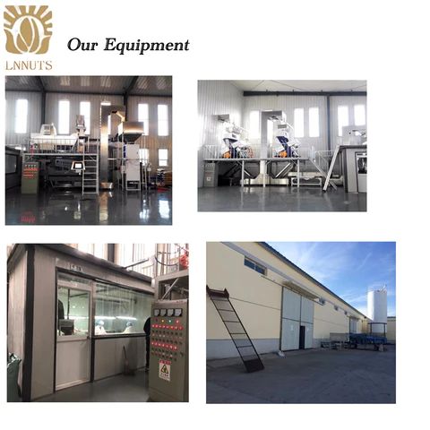 Конкурентоспособная цена Горячая продажа Тощеные семена подсолнечника индивидуальная упаковка Сушеные цветы сырое масло подсолнечника Китай съесть 5 тонн 190 361