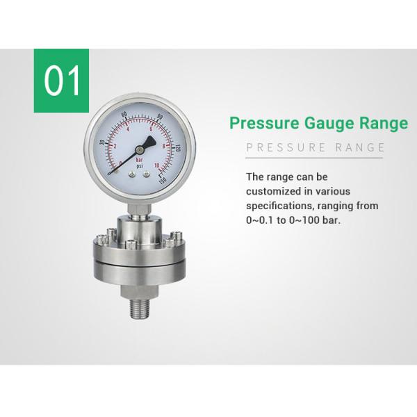 2.5 Precision Pressure Gauge with ZG1/4 Threaded Connection Diaphragm Seal Manometer