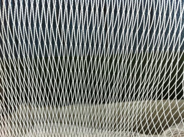 Heavy Duty Cast Sea Knotless Fishing Nets , Custom PE / PET / NYLON Fish Net