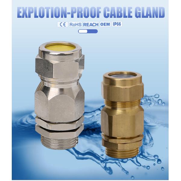 CW Brass Neoprene Explosion Proof Cable Gland With Silicone Rubber , Free Smples