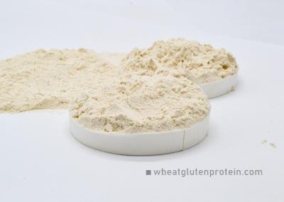 Vital Wheat Gluten Protein , Cas 8002 80 0 Gluten In Powder For Food Industry