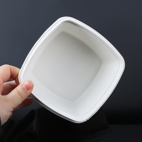 500g Compostable Dishware Take Away Food Container