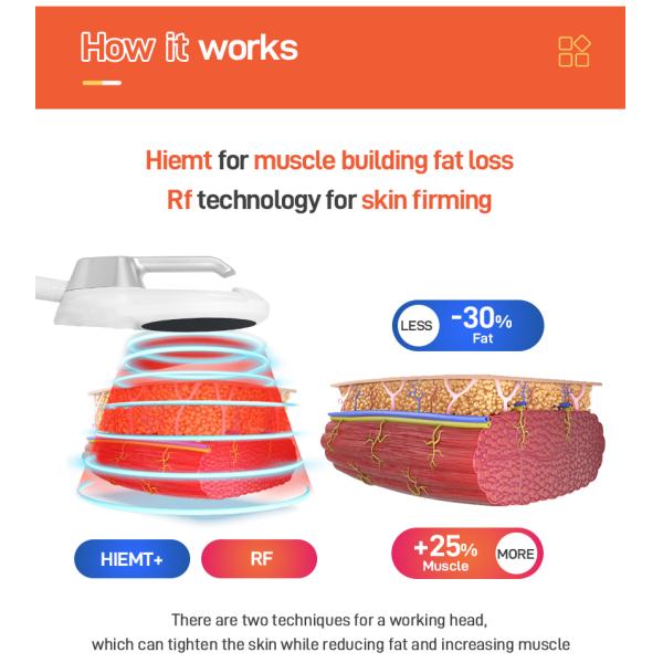 300W - 5000W Body Sculpt Machine ， Body Sculpting Equipment 3 - 200HZ