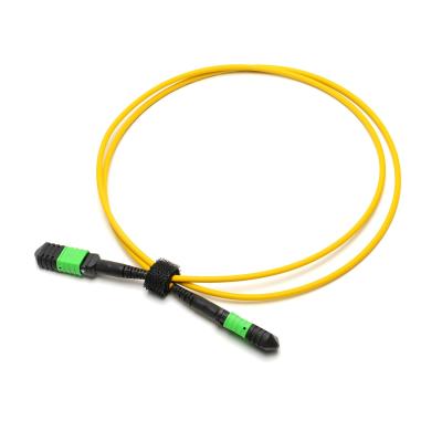 Cabo de remendo da fibra ótica OM3/OM4, cabo 3mm da fibra de MPO para CATV