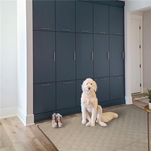 Oxford Anti Tear Pet Floor Mat Dog Play Crate Pee Training Waterproof