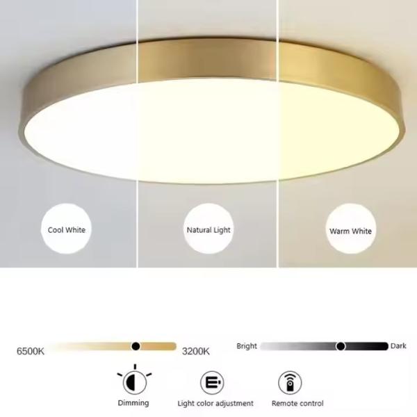 Circular Bathroom Ceiling Light Surface Mounted 3000K - 6000K Tri Color Ceiling Lamp
