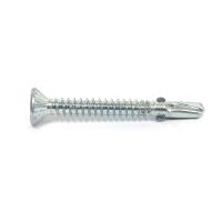 L'acier inoxydable Tek a galvanisé les vis extérieures M5.5x55mm avec le joint d'EPDM