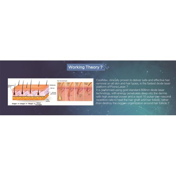 Clinic Use Permanent Hair Removal Equipment 600W No Pigmentation High Efficiency