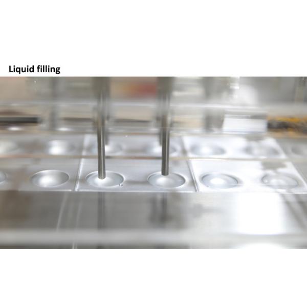 Customized Capsule Alu PVC Blister Packing Machine Automatic Sealing 820kg