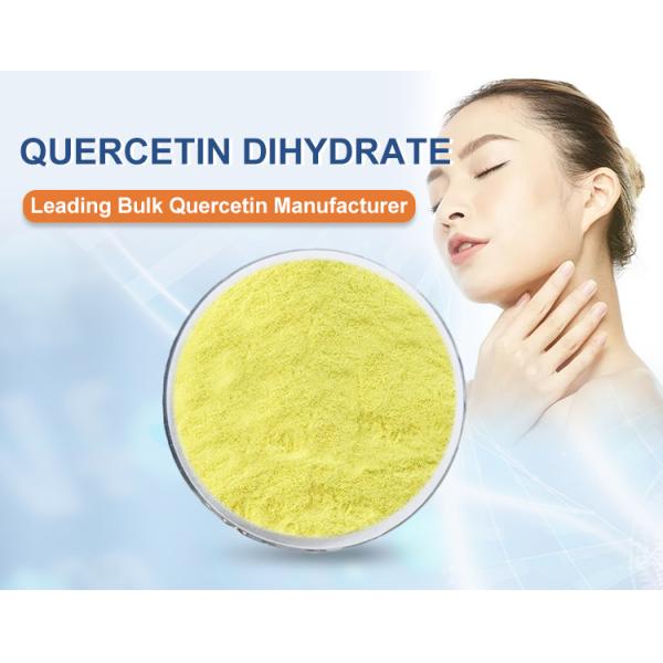 Высокая чистота 99% Кверцетин Дигидрат Порошок Sophora Japonica Экстракт для пищевых капсул