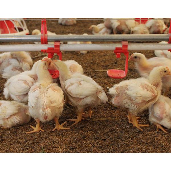 PVC Poultry House Accessories Water Inlet Valve And Pipe