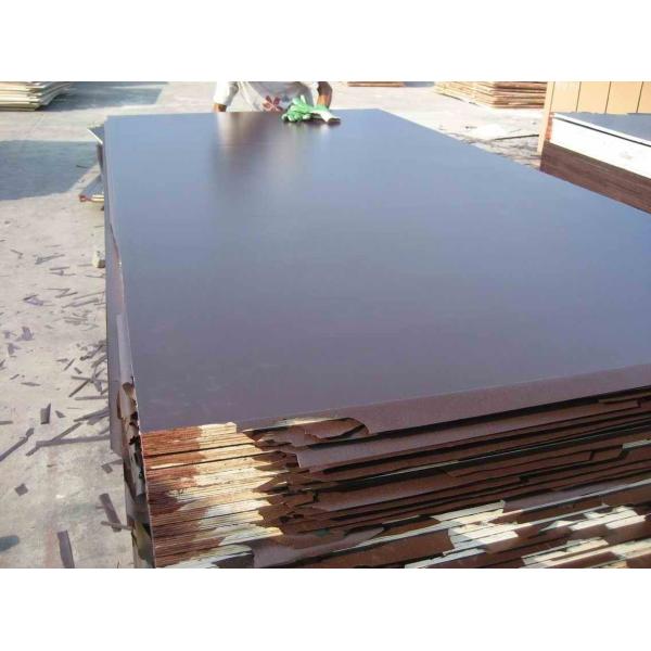 Dynea phenolic Film faced  plywood