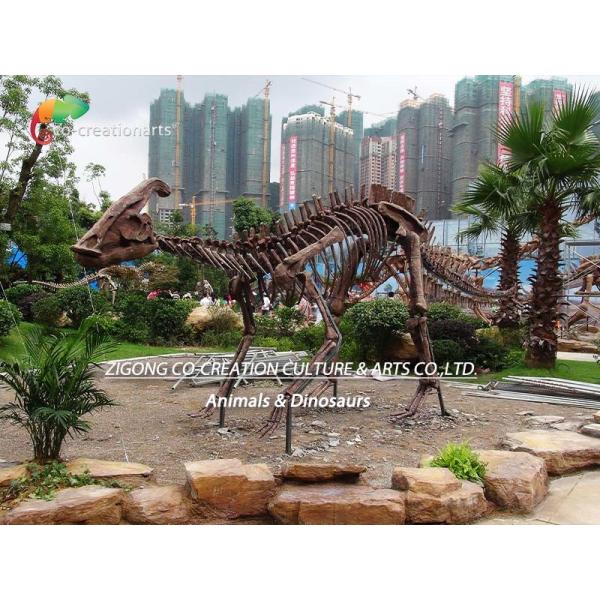 Делая водостойким юрский скелет Parasaurolophus реплики мира 15 метров длины