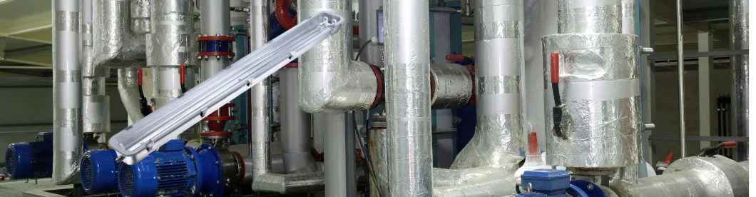 Светодиодные светодиодные лампы из нержавеющей стали IP66 Ik08 2FT 4FT 5FT