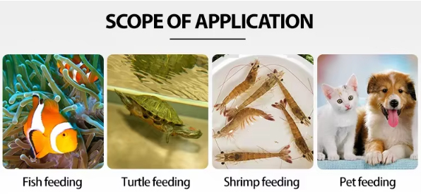 Fish Feed Production Line | Floating Fish Feed Pellet Making Machine | Small Sinking Shrimp Feed Extruder Machine
