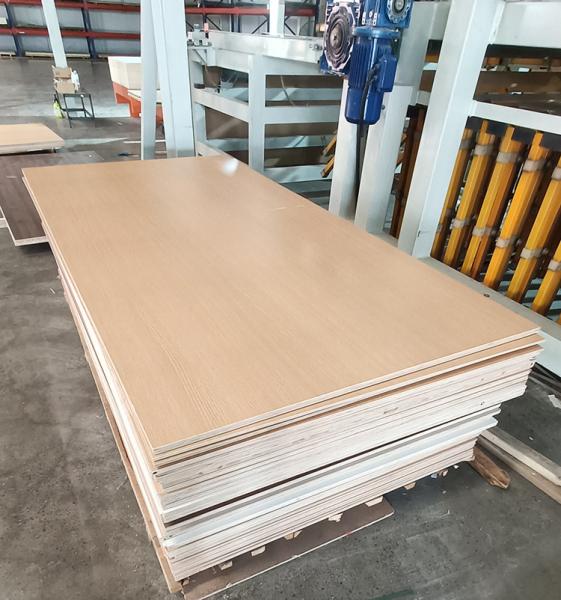 Plywood laminado de madera de álamo Pp