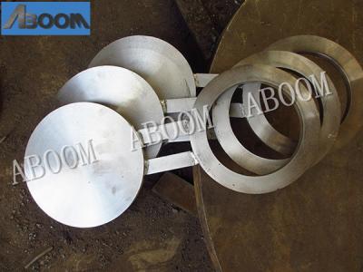F55 / S32760 Super Duplex Flanges 1.4501 Blind Flange 8 Type ASME B16.5