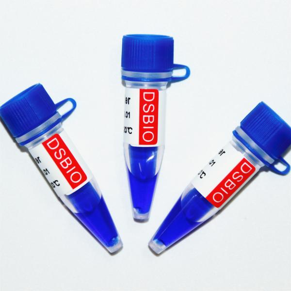 100bp Ladder DNA Marker M1061 (50μg)/M1062 (50μg×5)