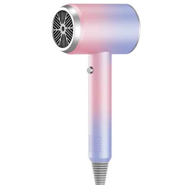 Advanced Blue Light Ion Technology Net Red Hair Dryer with High Power and Hot