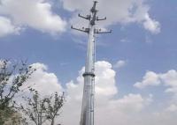 500KV Hexadecagon a galvanisé Electric Power de service en acier Polonais pour la ligne de transmission