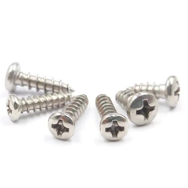 Cross Recessed Drywall Screws Super Duplex Stainless Steel 2205 2507 Self Tapping Screw