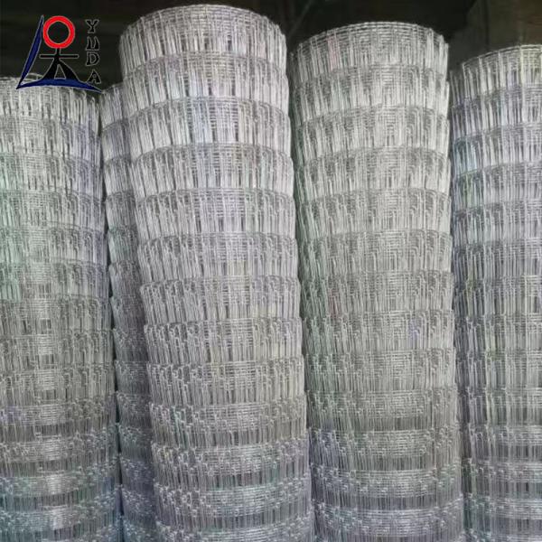 Hot Dip Galvanized Field Fence for Grassland and Sheep