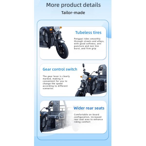Electric Driving Type 2024 3 Wheel Cargo Motorcycle Tricycle for Adult Driving Mileage 70-90km