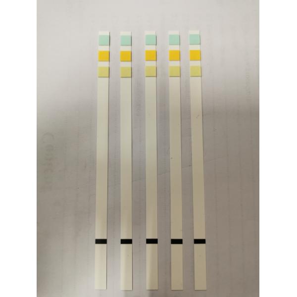 Urinalysise Test Strip Dry Chemical Method Urine-H-11 Urine-H-10 Urine-H-8