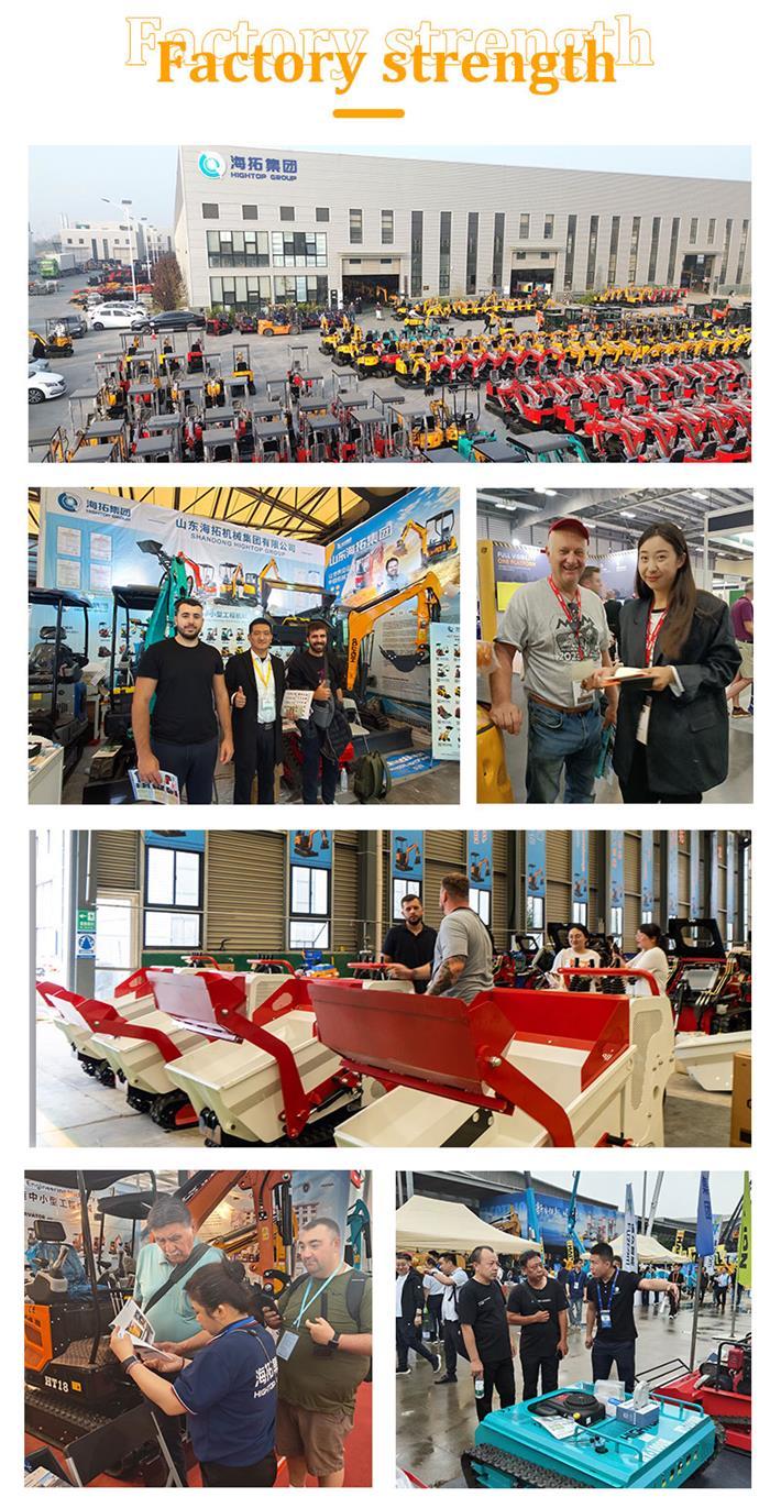 1300kg Load Capacity Gasoline Dump Truck with 6L Fuel Tank