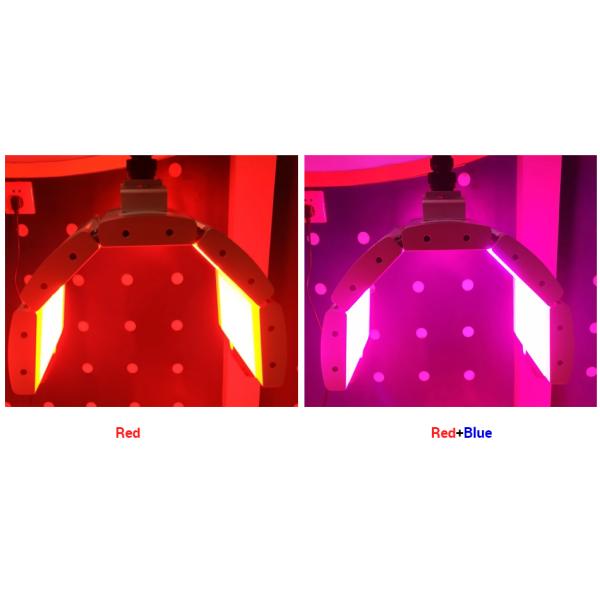 Photobiology PDT LED Light Therapy Machine Skin Rejuvenation High Efficiency