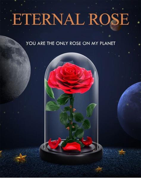 Hot Selling Preserved Rose with Glass Dome Mini Artificial Flowers Preserved Flowers for Valentines day Gifts