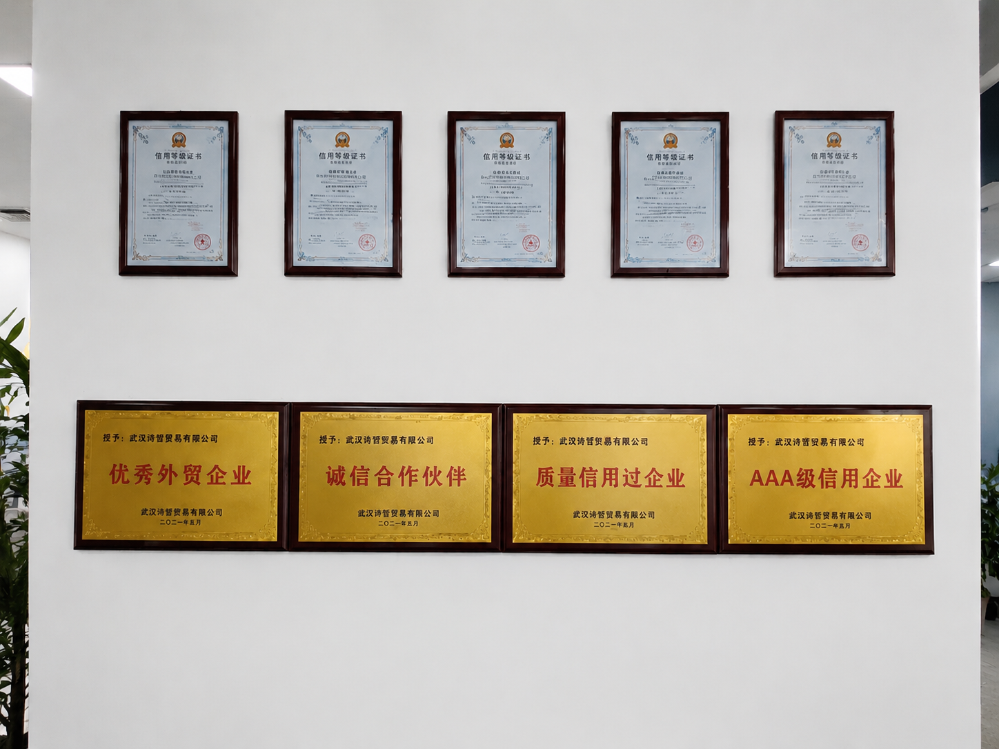 Wuhan Shizhe Trading Co., Ltd.