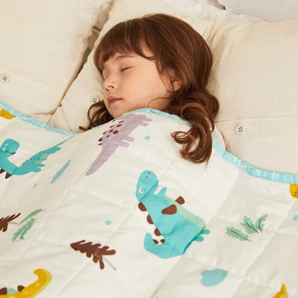 Bedroom All seasons Polyester Fleece Blanket , Super Soft Kids Fleece Throw