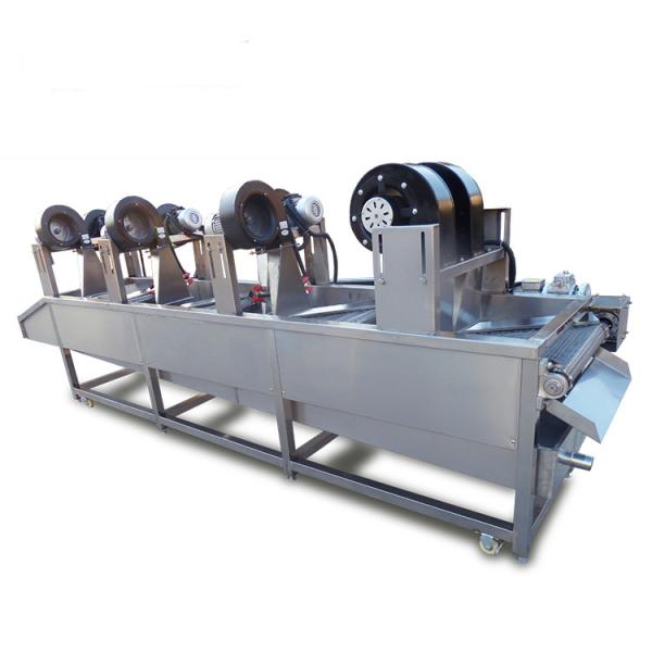 Hotéis Equipamento industrial de secagem de frutas e vegetais Secagem rápida