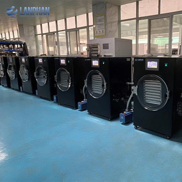 Vacuum Commercial Freeze Dryer Household Freeze Drying Machine For Vegetable Flower