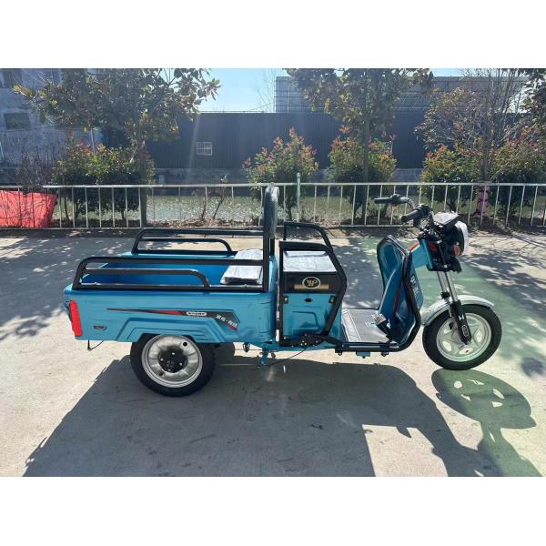 Custom Farm 1200W Electric Tricycle Motorcycle with Front Drum Rear Drum Brake System