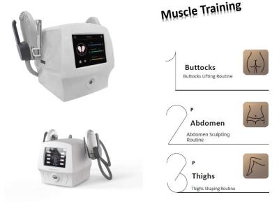 Máquina do Stimulator do músculo do ODM Ems de Lasertell