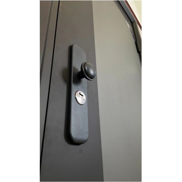 Polymer Steel Door Honeycomb Paper Infilling Security Entrance Value Pricing