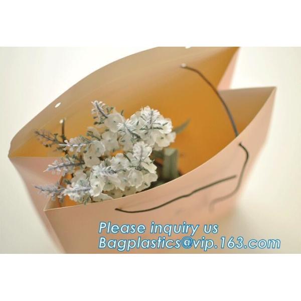 Glossy Paper Bag export to Australia,Design Clothing Gift Paper Bag, Colorful Kraft Jewelry Paper Bag bagplastics packag
