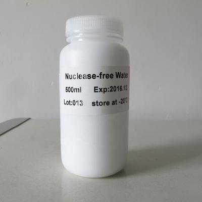 Molecular Biology Grade Water Nuclease Free P9023 500ml